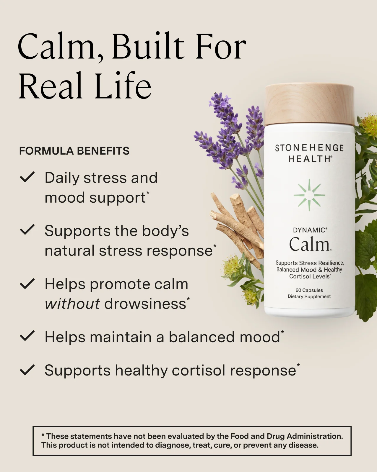 Dynamic Calm™ - Image 2